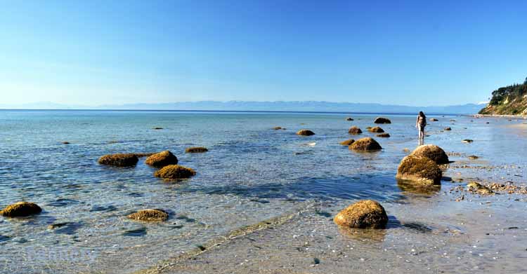 beach scene